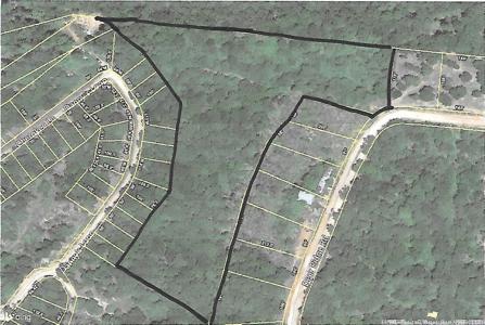 Wooded land for sale - image 17