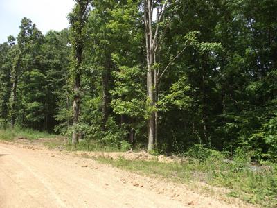 Wooded land for sale - image 10