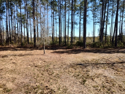 Riverfront/Residential property in Pamlico County, NC - image 12