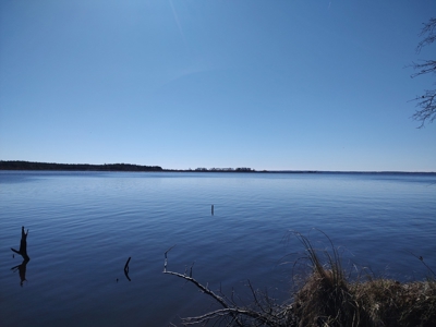 Riverfront/Residential property in Pamlico County, NC - image 19