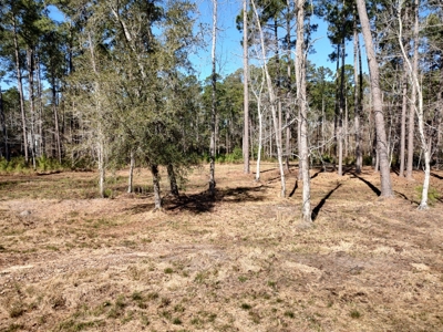 Riverfront/Residential property in Pamlico County, NC - image 9