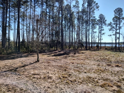 Riverfront/Residential property in Pamlico County, NC - image 13