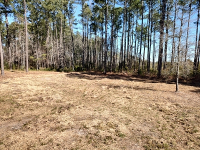Riverfront/Residential property in Pamlico County, NC - image 11