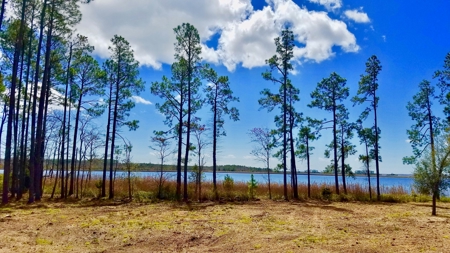 Riverfront/Residential property in Pamlico County, NC - image 2