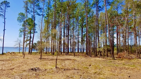 Riverfront/Residential property in Pamlico County, NC - image 3