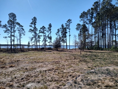 Riverfront/Residential property in Pamlico County, NC - image 7