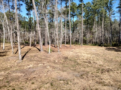 Riverfront/Residential property in Pamlico County, NC - image 10