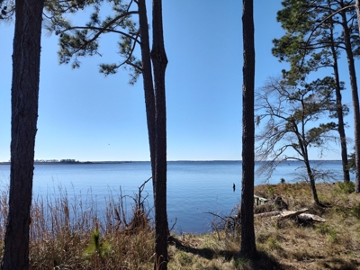 Riverfront/Residential property in Pamlico County, NC - image 16