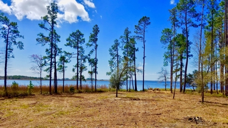 Riverfront/Residential property in Pamlico County, NC - image 1