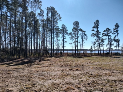 Riverfront/Residential property in Pamlico County, NC - image 5