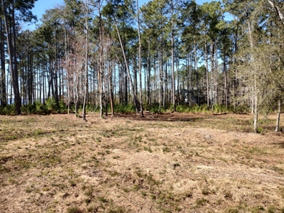 Riverfront/Residential property in Pamlico County, NC - image 8