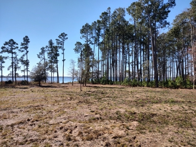 Riverfront/Residential property in Pamlico County, NC - image 6