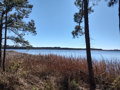 Riverfront/Residential property in Pamlico County, NC - image 14