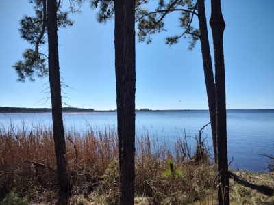 Riverfront/Residential property in Pamlico County, NC - image 15