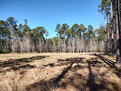 Riverfront/Residential property in Pamlico County, NC - image 22