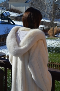 1262 - image 4