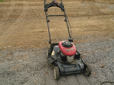 7981 - image 7