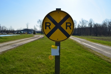 alt=
