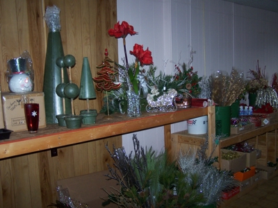 10568 - image 11