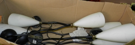 11900 - image 6