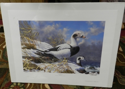 12295 - image 3
