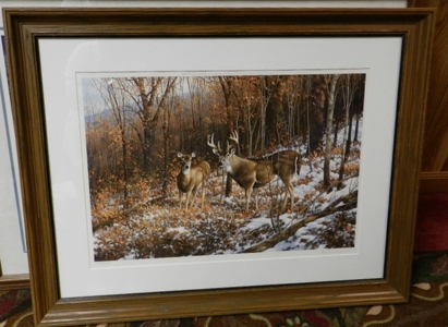 12307 - image 15