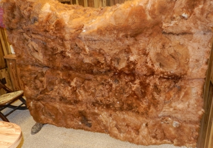 12324 - image 32
