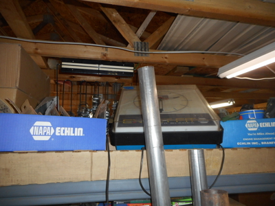 12480 - image 34