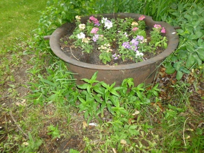 14672 - image 133