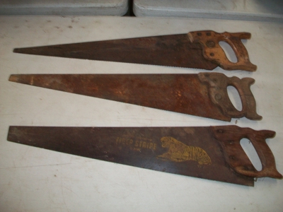 15955 - image 7