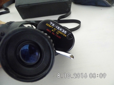 21794 - image 7