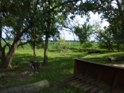 22589 - image 130