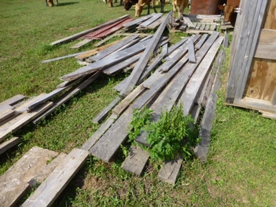 22553 - image 94