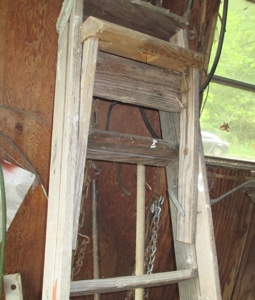 23586 - image 24
