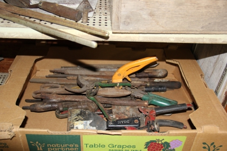 25580 - image 1
