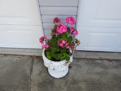 25753 - image 115