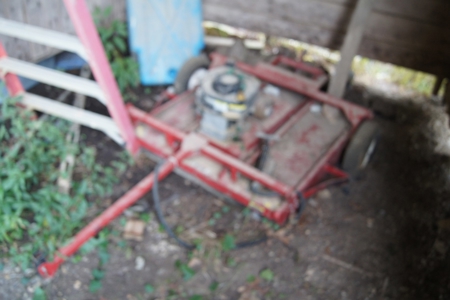 29225 - image 1