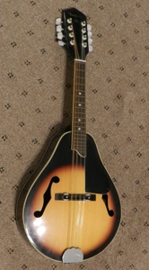 29456 - image 10