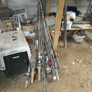 37303 - image 45