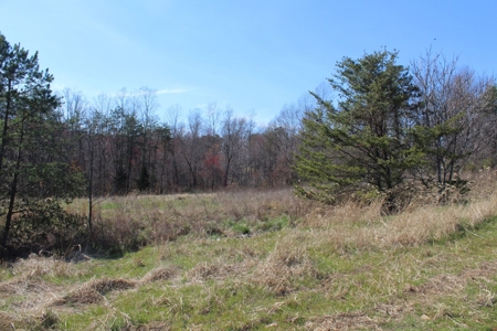 39384 - image 5