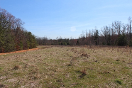 39381 - image 2