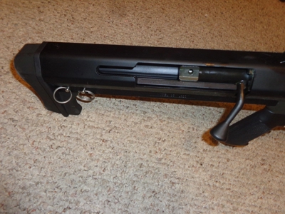 41554 - image 1