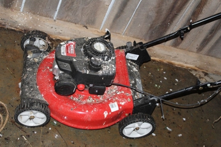 49622 - image 16