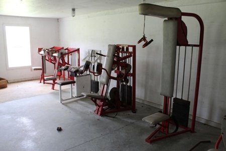 49625 - image 3