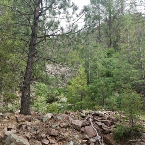 59482 - image 1