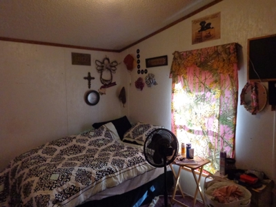 66129 - image 17