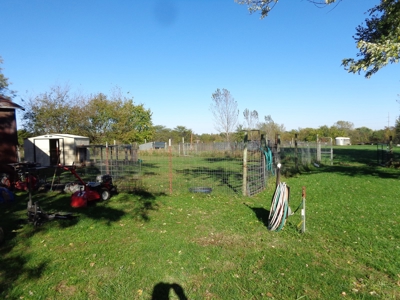 66120 - image 8