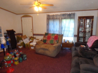 66127 - image 15