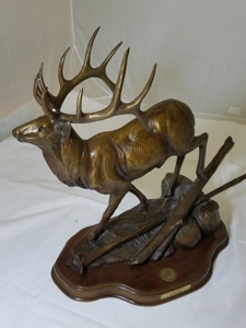 67553 - image 33