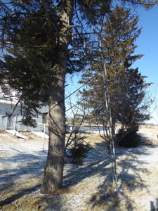 68817 - image 15